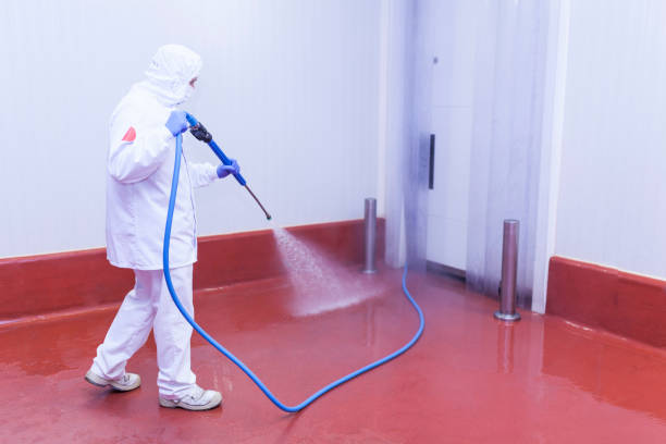 Best House Exterior Washing  in National City, CA